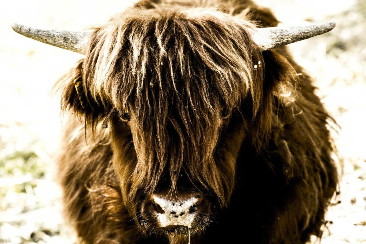 Montanari Agrivillage Narni Bagian luar foto