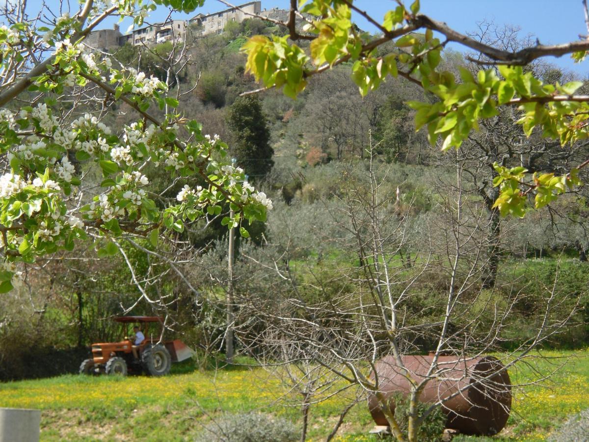 Montanari Agrivillage Narni Bagian luar foto