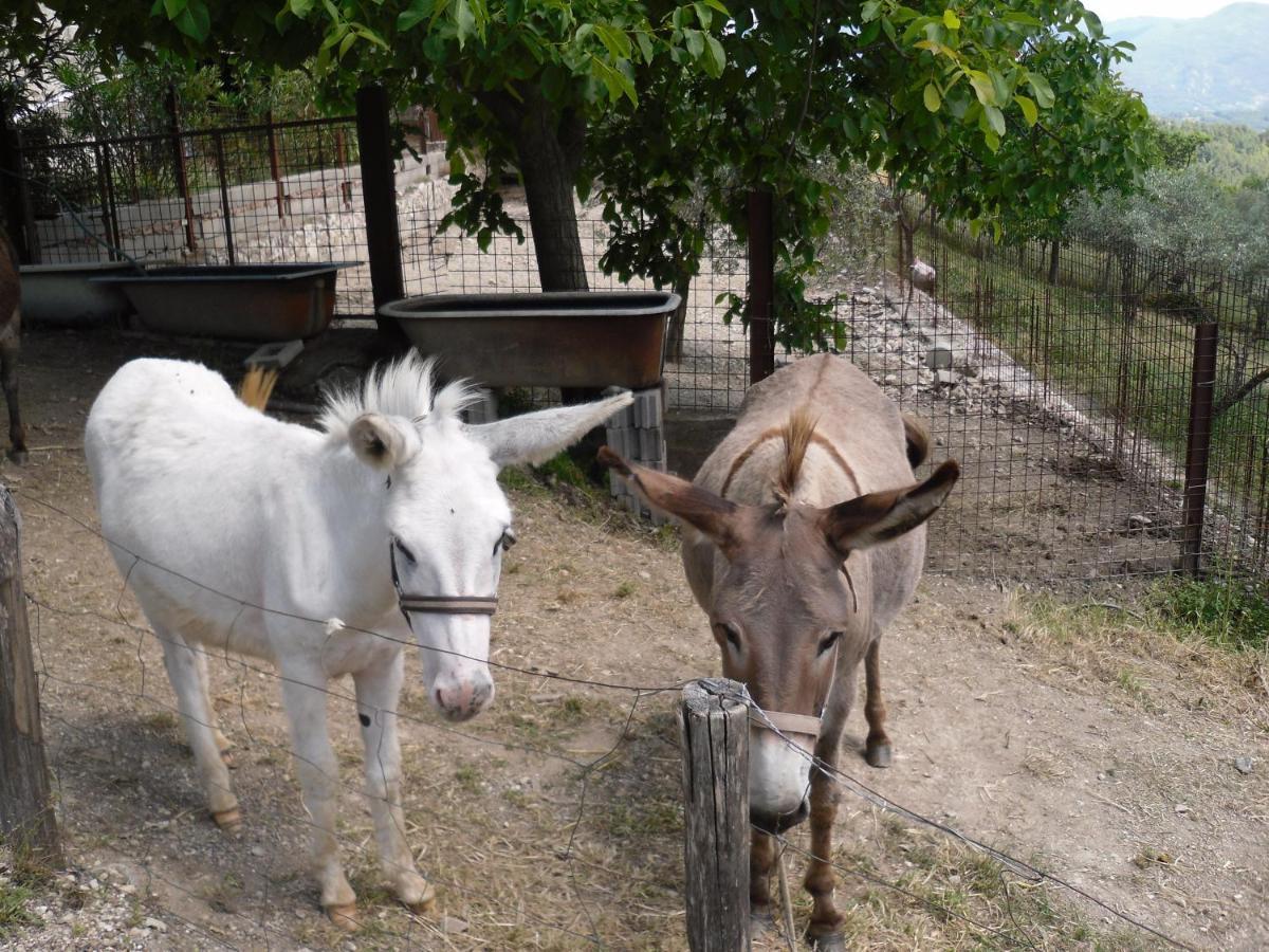 Montanari Agrivillage Narni Bagian luar foto