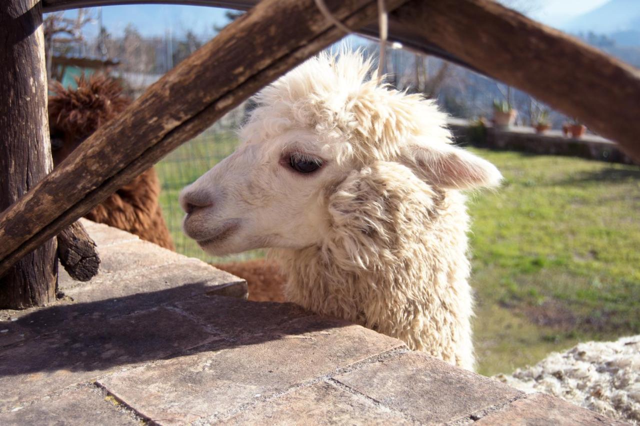 Montanari Agrivillage Narni Bagian luar foto