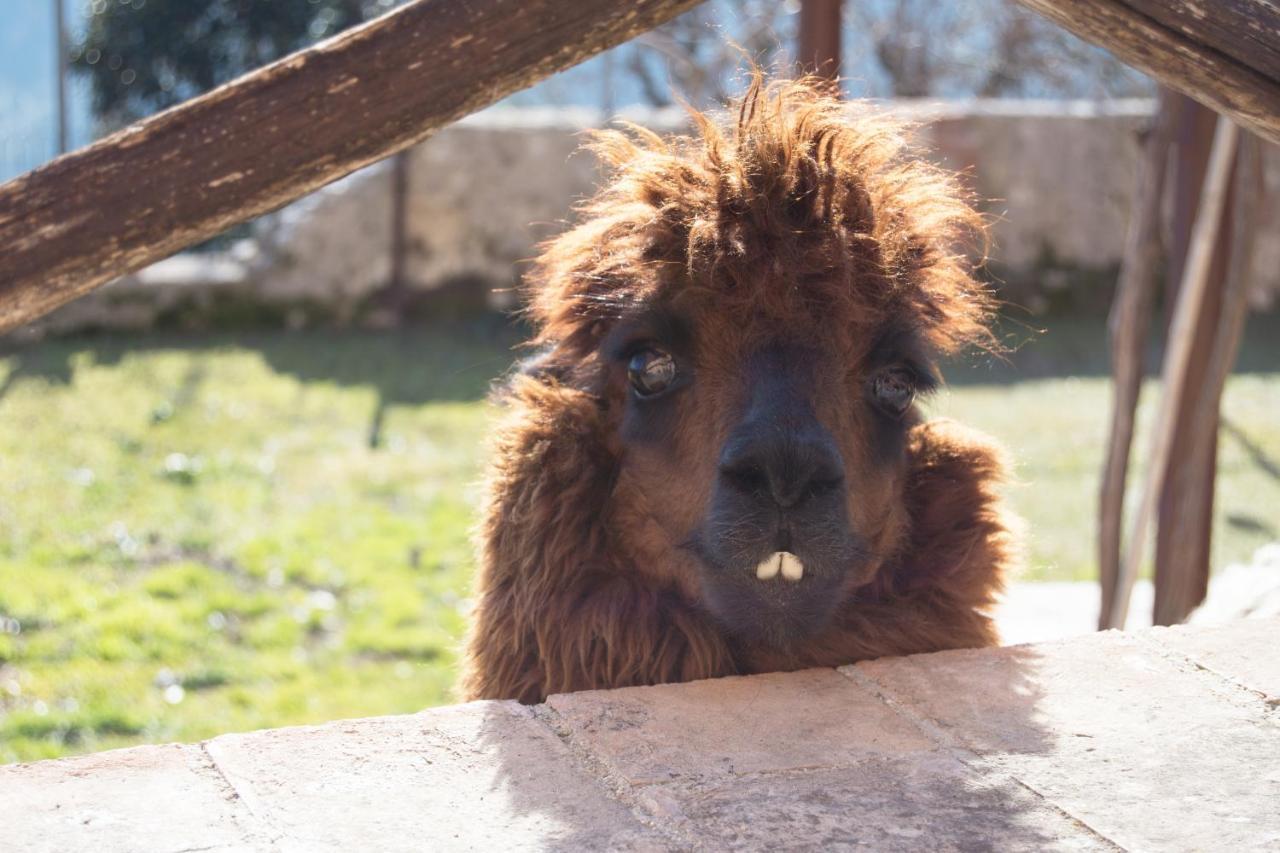 Montanari Agrivillage Narni Bagian luar foto